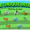 The Unique Insect