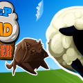 Sheep Road Danger