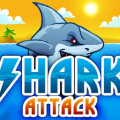 Shark Attack