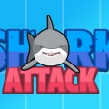 Shark Attack