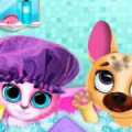 Cute Pet Friends