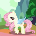 Fluttershy Pony Dress Up
