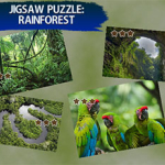 Jigsaw Puzzle Rain Forest
